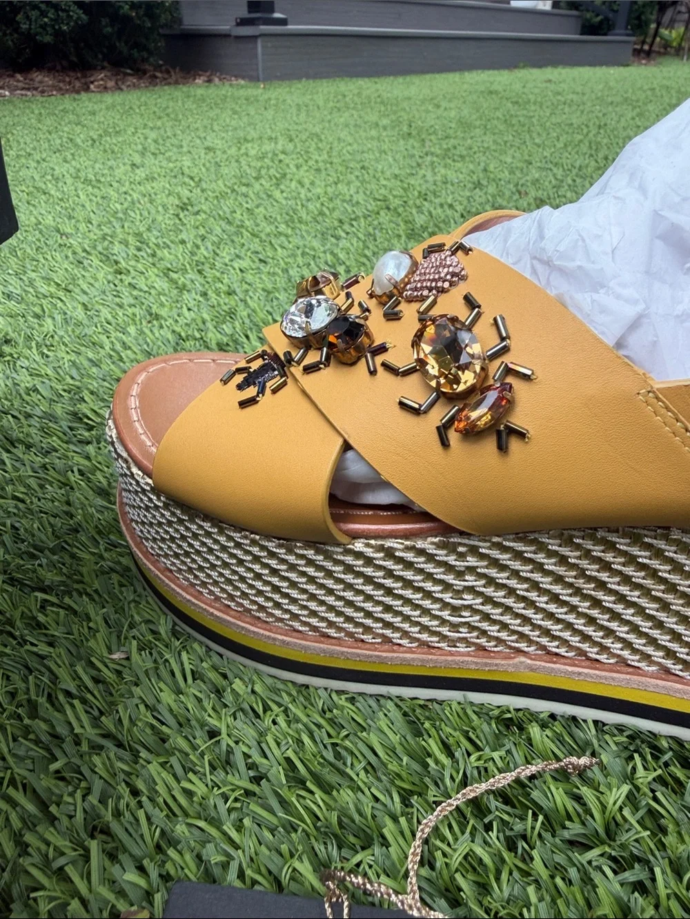 sanchita stunning mustard